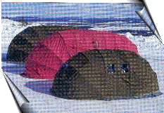 t10.gif (29813 bytes)
